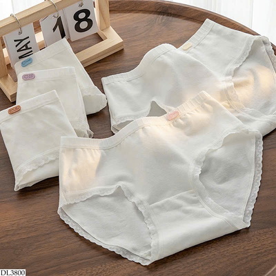 DL3800 SET 6 QUẦN CHIP CHO NỮ