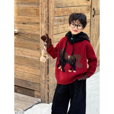 AT1153 ÁO LEN NGỰA CHO BÉ TRAI