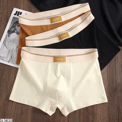 DL3820 SET 4 QUẦN SỊP NAM