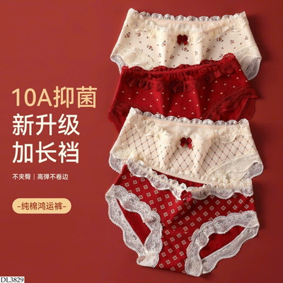 DL3829 SET 5 QUẦN CHIP CHO NỮ