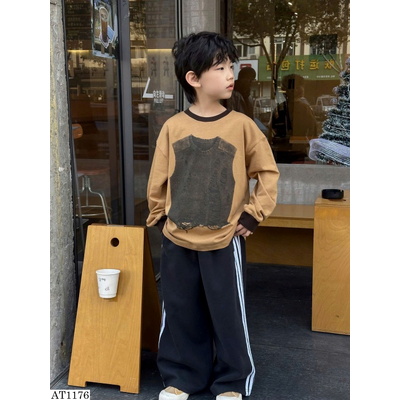 AT1176 ÁO THUN DÀI TAY HỌA TIẾT ÁO BA LỖ BT