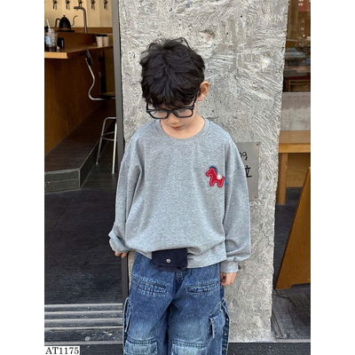 AT1175 ÁO THUN DÀI TAY NGỰA BT