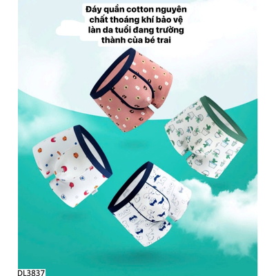 DL3837 SET 2 SỊP ĐÙI COTTON BÉ TRAI