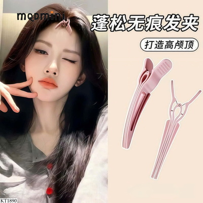 KT1890 SET 2 KẸP PHỒNG CHÂN TÓC