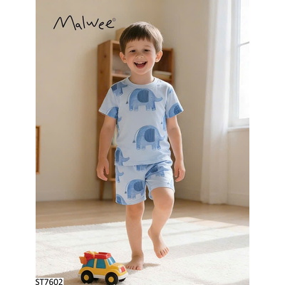 ST7602 SET HÈ HỌA TIẾT CHO BT MALWEE