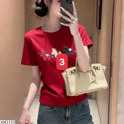 AM2153  ÁO PHÔNG NGỰA NỮ