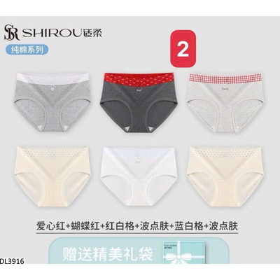 DL3916 SET 6 QUẦN CHIP NỮ