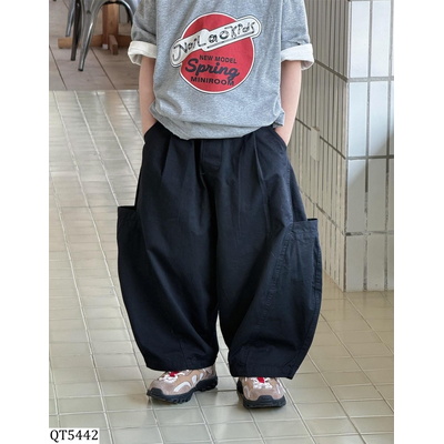 QT5442 QUẦN BAGGY TÚI BÊN BẢN TO