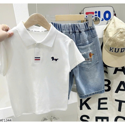 AT1344 BST ÁO POLO CỘC TAY NHÀ KACADY