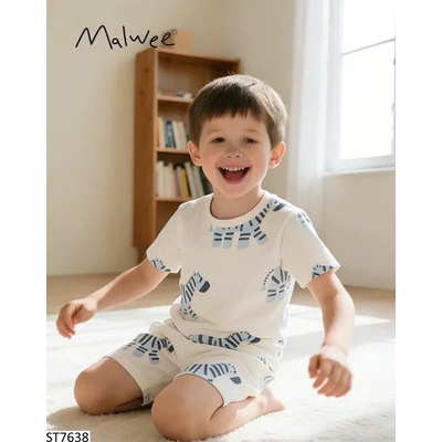ST7638 SET HÈ CHO BT MALWEE