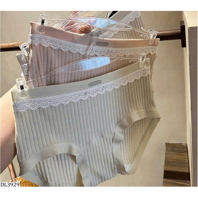 DL3929 SET 4 QUẦN CHIP PHỐI REN HACCI