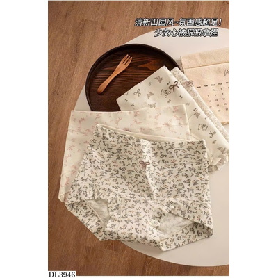 DL3946 SET 4C QUẦN CHIP HỌA TIẾT HOA NHÍ