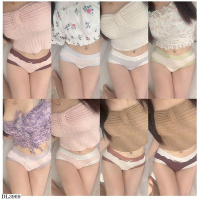 DL3969 HỘP 8 QUẦN CHIP KHÁNG KHUẨN HOT TREND