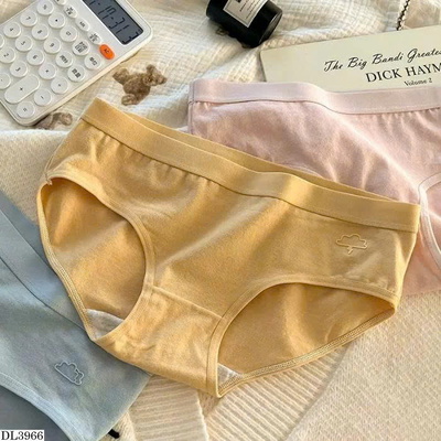 DL3966 QUẦN LÓT MACARON NỮ