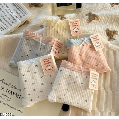 DL4029 SET 5 QUẦN CHIP NỮ COTTON