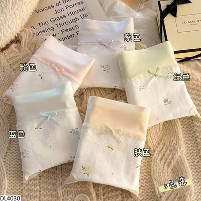 DL4030 SET 5 QUẦN CHIP CẠP CAO