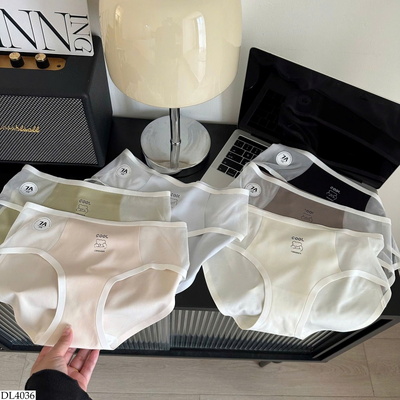 DL4036 SET 5 QUẦN CHIP CHO NỮ