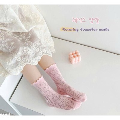 TC2251 TẤT LƯỚI NGANG GỐI SẮC MÀU