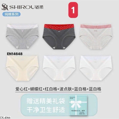 DL4066 SET 6 QUẦN CHIP CAO CẤP