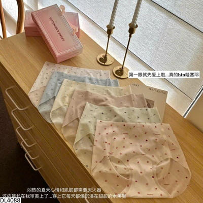 DL4088 SET 6 QUẦN CHÍP CHO NỮ