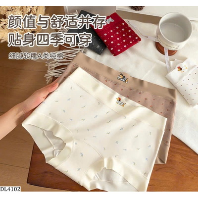 DL4102 SET 6 QUẦN CHIP BOXER SU ĐÚC NỮ