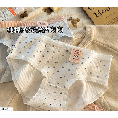 DL4108 SET 10 QUẦN CHIP NỮ MIX MÀU