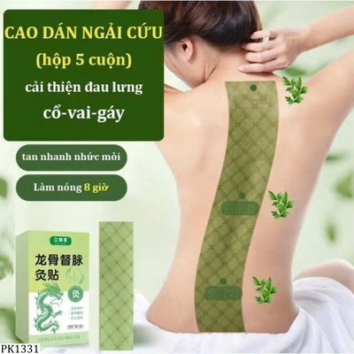 PK1331 SET 2 HỘP MIẾNG DÁN XƯƠNG SỐNG