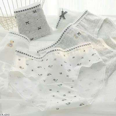 DL4202 SET 6 QUẦN CHIP KHÁNG KHUẨN 