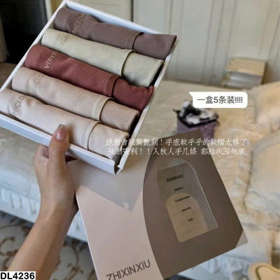 DL4236 SET 5 QUẦN CHÍP KHÁNG KHUẨN CHO NỮ