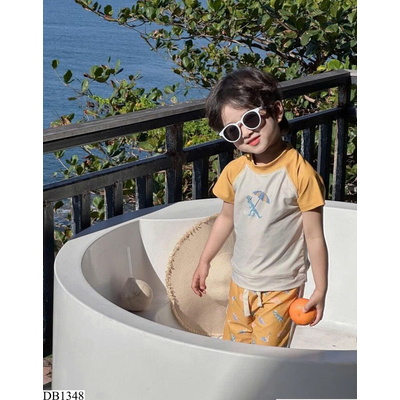DB1348 BỘ BƠI VÀNG KHỦNG LONG 2 CHI TIẾT