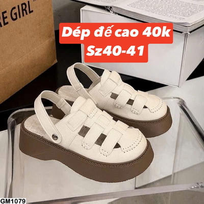GM1079 SALE