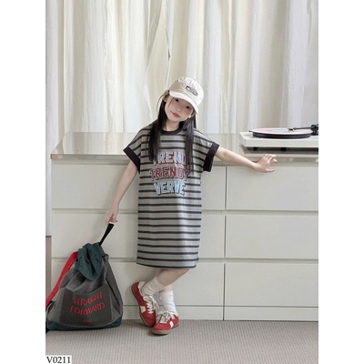 V0211 VÁY KẺ DÁNG SUÔNG AMBB