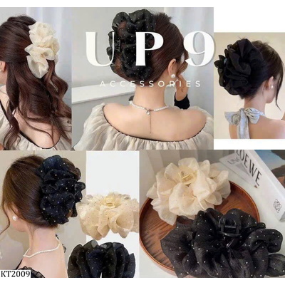 KT2009 SET 2C KẸP TÓC TIỂU THƯ