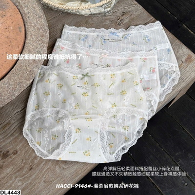 DL4443 HỘP 3 QUẦN CHÍP REN HOA