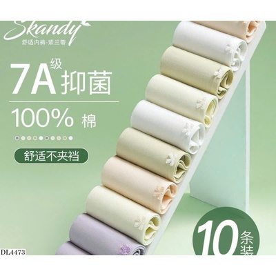 DL4473 SÉT 10 QUẦN CHIP TRƠN COTTON CAO CẤP
