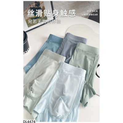 DL4474 SET 4 QUẦN SỊP ĐÙI NAM