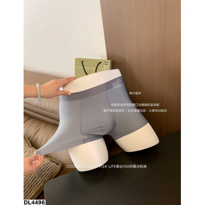 DL4496 SÉT 3 CHIP ĐÙI BĂNG LẠNH NAM COOKIE KOALA
