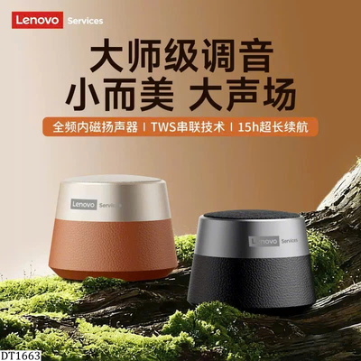 DT1663  LOA LENOVO HD103