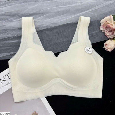 DL4509 ÁO BRA KHÔNG GỌNG