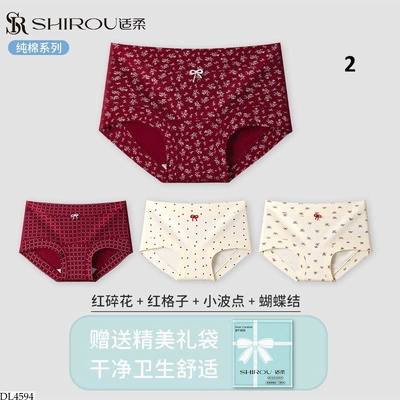 DL4594 SET 4C QUẦN LÓT NỮ