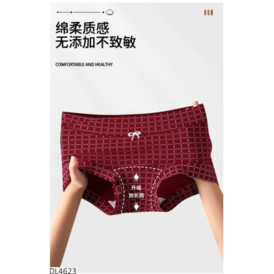 DL4623 SET 4C QUẦN LÓT NỮ