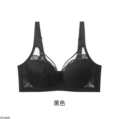 DL4645 SET 2 BRA PHỐI REN