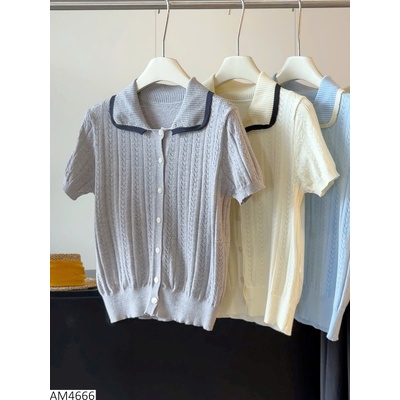 AM4666 ÁO POLO CHO NỮ ANNA