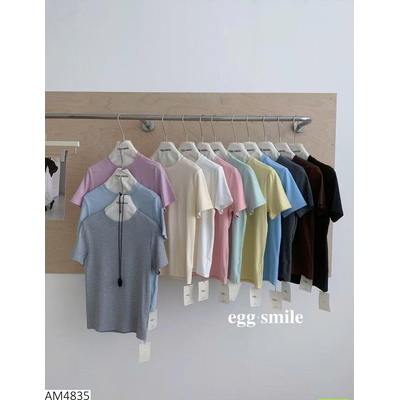 AM4835 ÁO THUN CỔ TRÒN EGG 12 MÀU