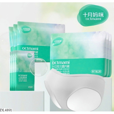 DL4891 SET 10 QUẦN CHIP VÔ TRÙNG DU LỊCH