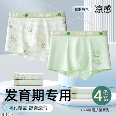 DL4914 SET 4 QUẦN CHIP THANH NIÊN NAM