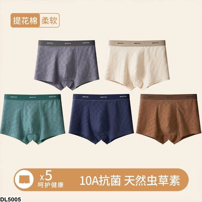 DL5005  SET 5 QUẦN CHÍP BOXER NAM
