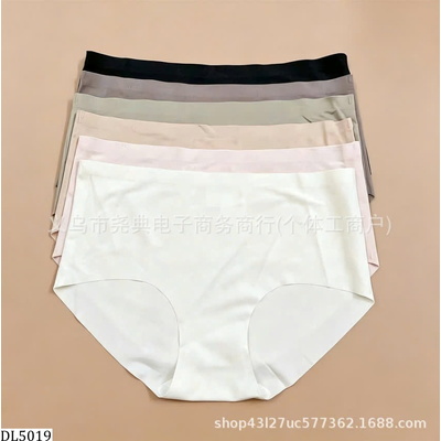 DL5019  SET 6 QUẦN CHIP CHO NỮ