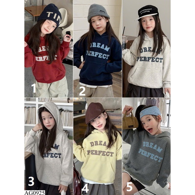 AG0925 ÁO HOODIE DREAM PERFECT AMBB