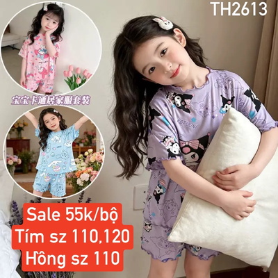 TH2613 SALE